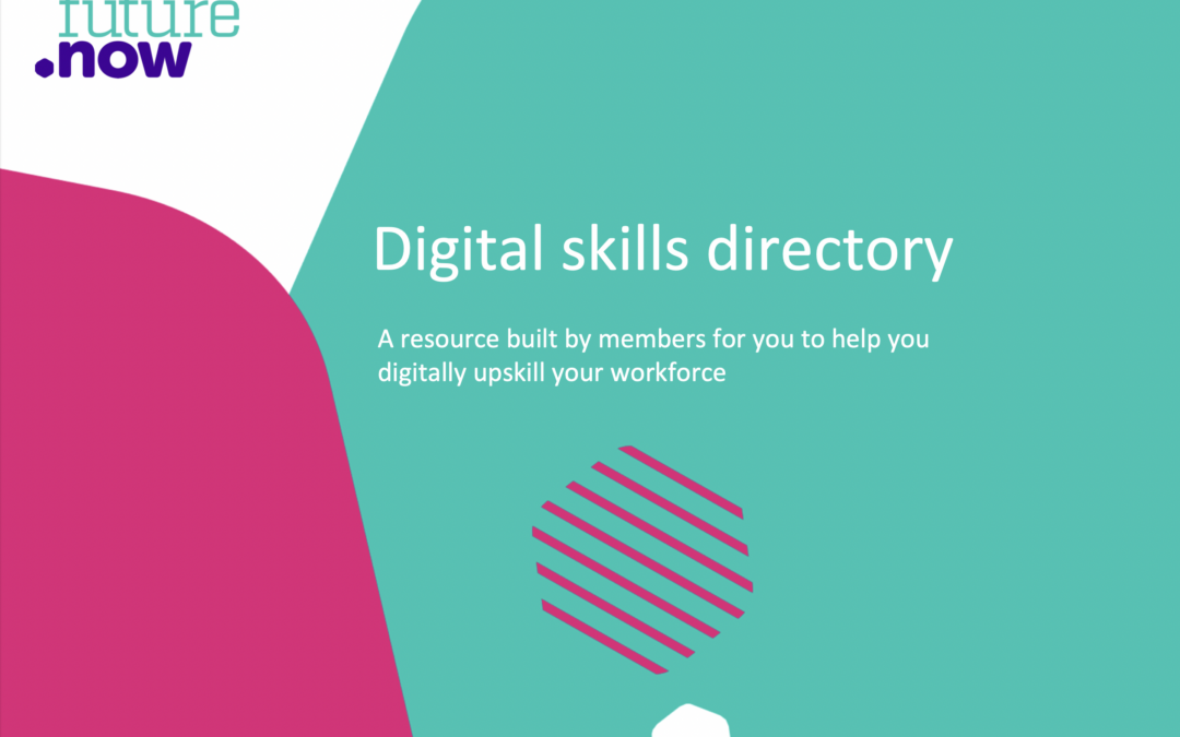 New info and insight in our Digital Skills Directory 3.0